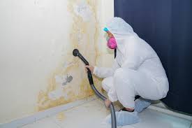 Best Residential Mold Inspection & Testing  in Fernley, NV